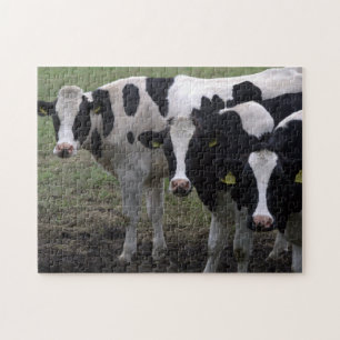 Koeien Legpuzzel