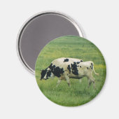 Koeien magneet (Voorkant / Achterkant)
