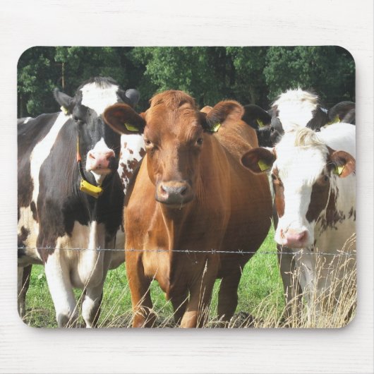 Koeien met cadeaus: Forever Friends Mousepad Muismat (Voorkant)