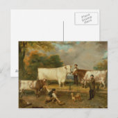 Koeien met een herdenker briefkaart (Voorkant / Achterkant)