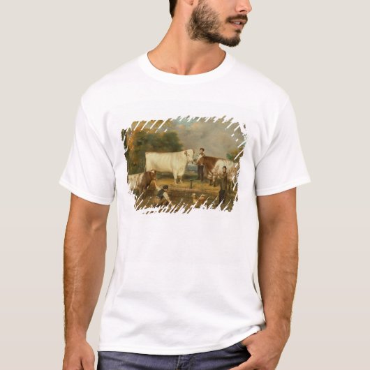 Koeien met een herdenker t-shirt (Voorkant)