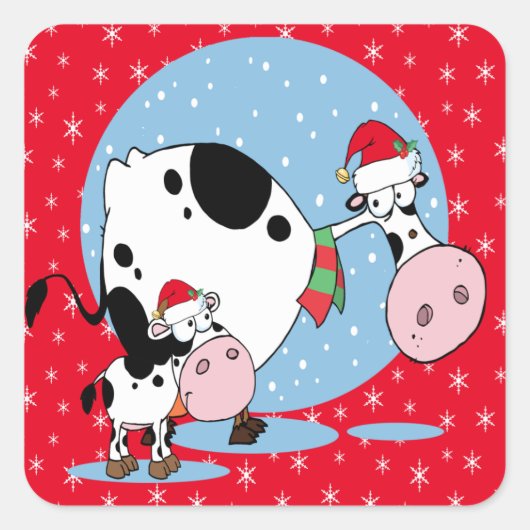Koeien met kerstmis in het land met kerstmantels vierkante sticker (Voorkant)