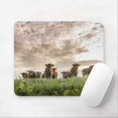 Koeien Muismat (Met muis)