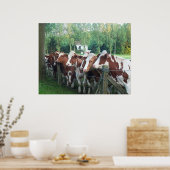 Koeien nieuwsgierig poster (Keuken)