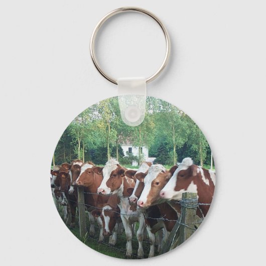 Koeien nieuwsgierig sleutelhanger (Voorkant)
