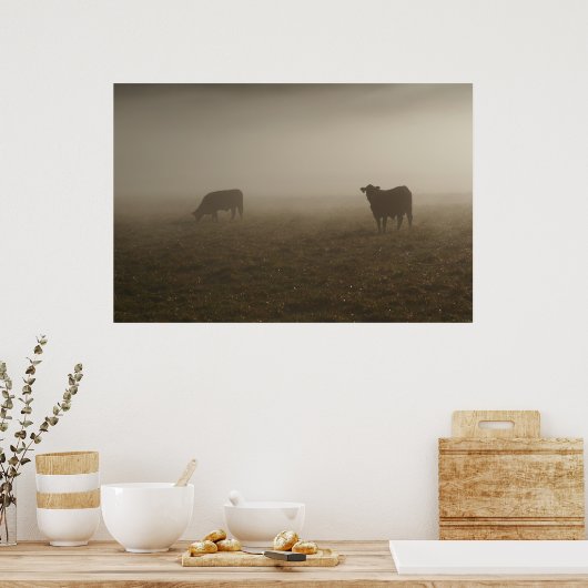 Koeien op de foto van de borst poster (Keuken)