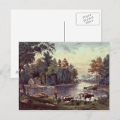 Koeien op de kust van een meer briefkaart (Voorkant / Achterkant)