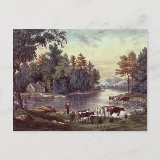 Koeien op de kust van een meer briefkaart (Voorkant)