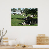 Koeien op het Boerderij Fotografie Midwest Poste Poster (Keuken)