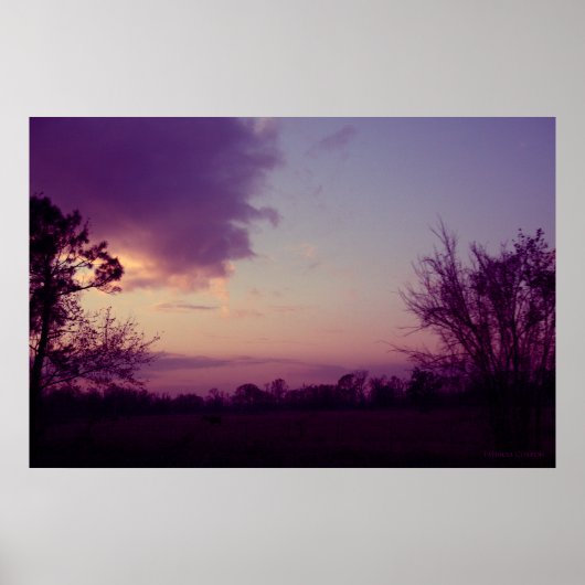 Koeien op het terrein poster (Voorkant)