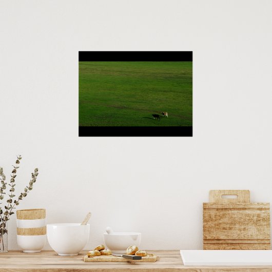 Koeien op panoramisch deegment poster (Keuken)