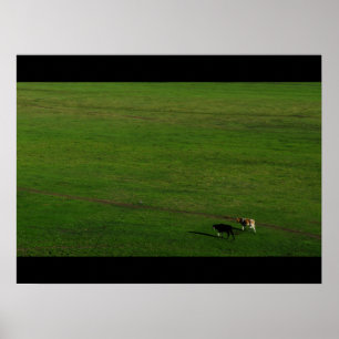 Koeien op panoramisch deegment poster