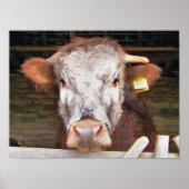 KOEIEN POSTER (Voorkant)