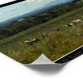 Koeien Poster (Hoek)