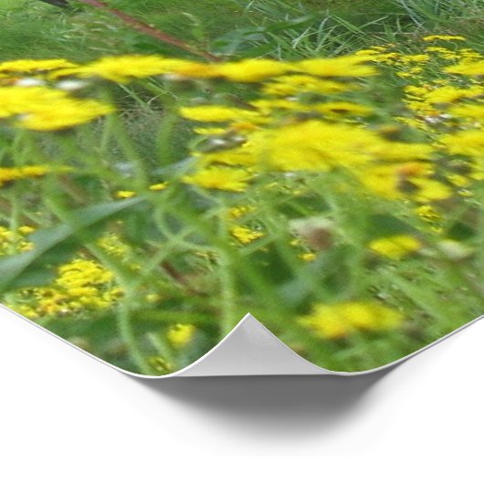 Koeien, Poster met weide en bloemen Afdrukgeschenk (Hoek)