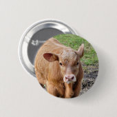 KOEIEN RONDE BUTTON 5,7 CM (Voorkant /achterkant)