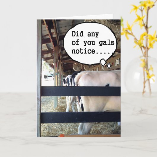 KOEIEN SAMENWERKEN OM TE ZEGGEN DAT ZIJ BIRTHDAAG  KAART (Gele Bloem)