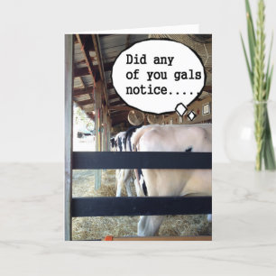 KOEIEN SAMENWERKEN OM TE ZEGGEN DAT ZIJ BIRTHDAAG  KAART