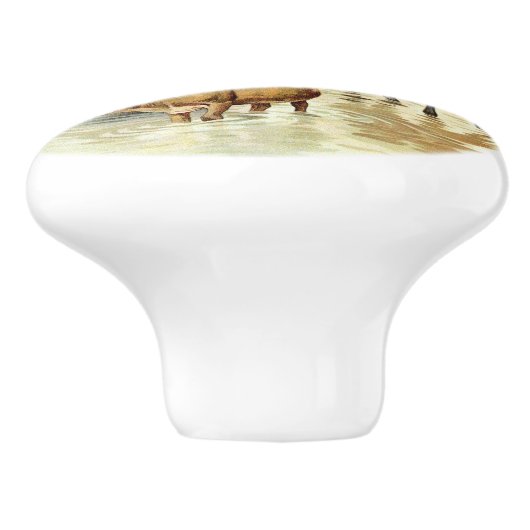 Koeien  stijl Boerderij Keramische Knop (Zijkant)