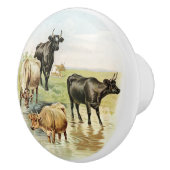 Koeien  stijl Boerderij Keramische Knop (Rechts)