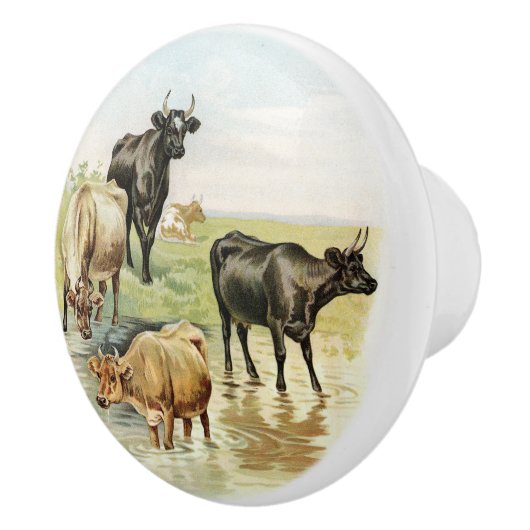 Koeien  stijl Boerderij Keramische Knop (Rechts)