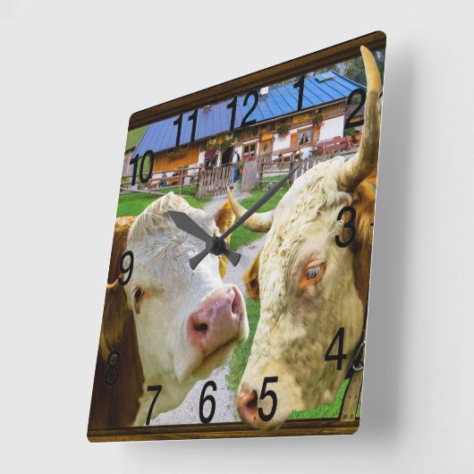 Koeien te grappig in liefde vierkante klok (Hoek)