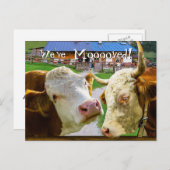 Koeien te grappig We hebben het nieuwe adres verpl Aankondigingskaart (Voorkant / Achterkant)