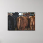 Koeien van achteren canvas afdruk (Voorkant)
