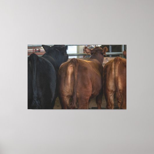 Koeien van achteren canvas afdruk (Voorkant)