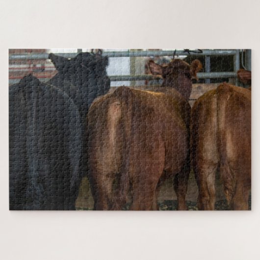 Koeien van achteren legpuzzel (Horizontaal)