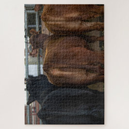 Koeien van achteren legpuzzel