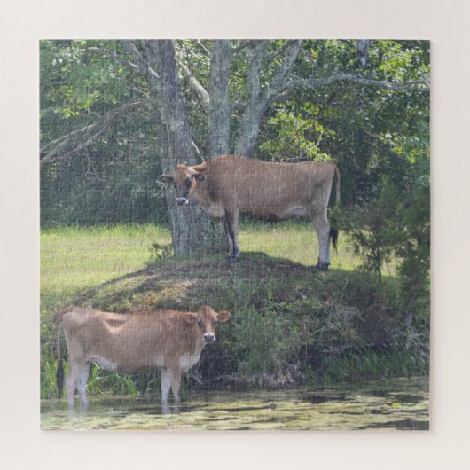 Koeien van het land die afkoelen legpuzzel (Verticaal)