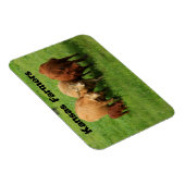 Koeien van Kansas Farmers Magneet (Rechterzijde)