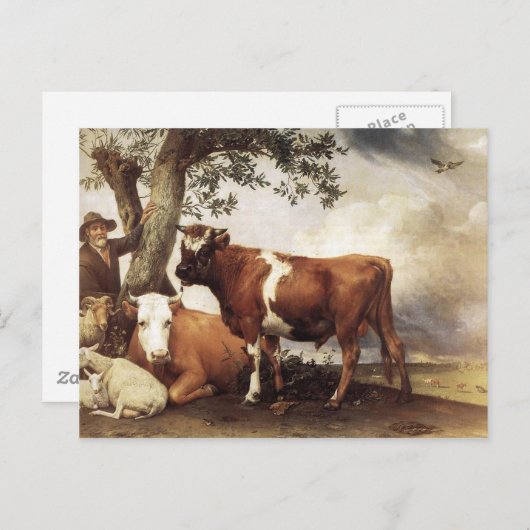 Koeien van Potter Briefkaart (Voorkant / Achterkant)