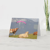 Koeien verlaten kaart (Achterkant)