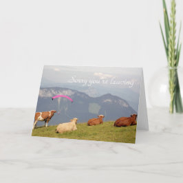 Koeien verlaten kaart