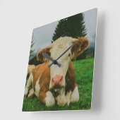 Koeien Vierkante Klok (Hoek)