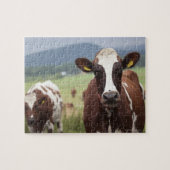 Koeien voor grazing legpuzzel (Horizontaal)