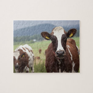 Koeien voor grazing legpuzzel