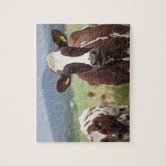 Koeien voor grazing legpuzzel (Verticaal)