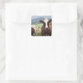 Koeien voor grazing vierkante sticker (Tas)