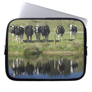 Koeien weerspiegeld in kanaal, Henley, Taieri Plai Laptop Sleeve