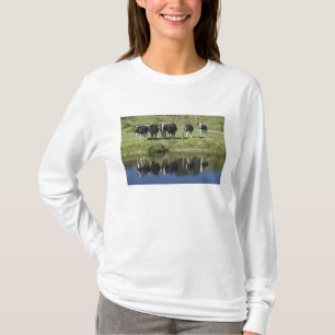 Koeien weerspiegeld in kanaal, Henley, Taieri Plai T-shirt