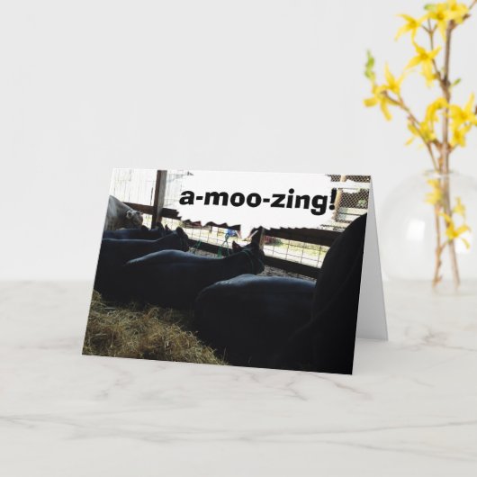 KOEIEN ZEGGEN A-MOO-SING DAT JE OVER DE HEUVEL BEN KAART (Gele Bloem)