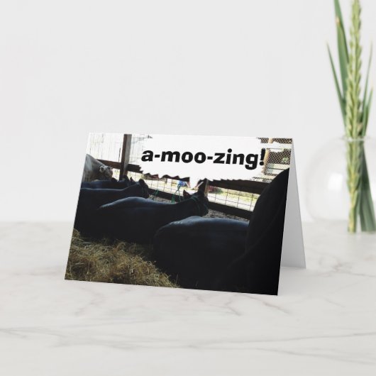 KOEIEN ZEGGEN A-MOO-SING DAT JE OVER DE HEUVEL BEN KAART (Voorkant)