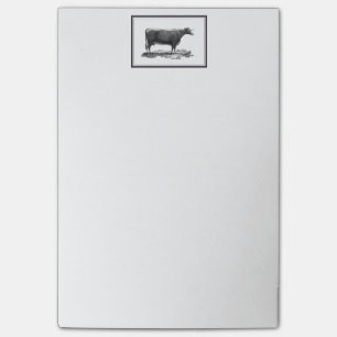  koeienetsen met plakbiljetten aan de grens post-it® notes