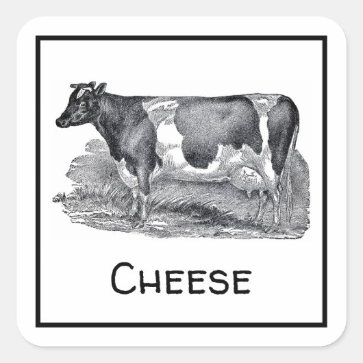 Koeienkaas Vierkante Sticker (Voorkant)