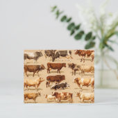 koeienkoeienvangers Boerderij Illustratie Briefkaart (Staand voorkant)