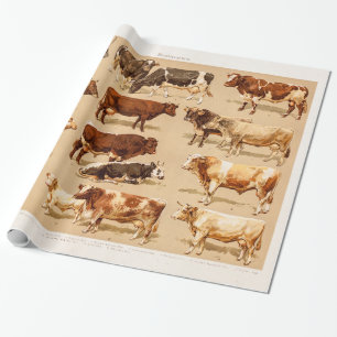 koeienkoeienvangers Boerderij Illustratie Cadeaupapier