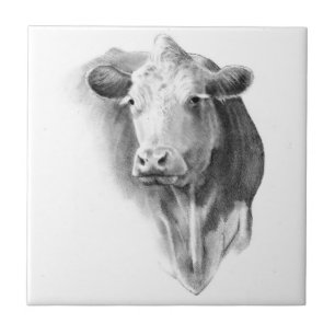 Koeienkop in potlood: Realistische kunst: Boerderi Tegeltje